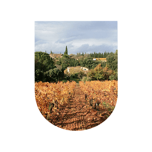 Mas de Daumas Gassac, vin Languedoc Roussillon, U'wine